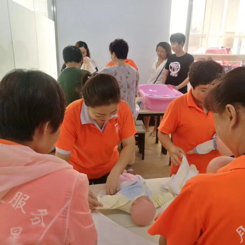 天津專業培訓課程指南 營養師、月嫂與催乳師培訓選擇與價格解析